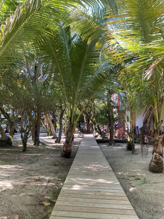 Tranquility Beach Suites Placencia Pokoj fotografie